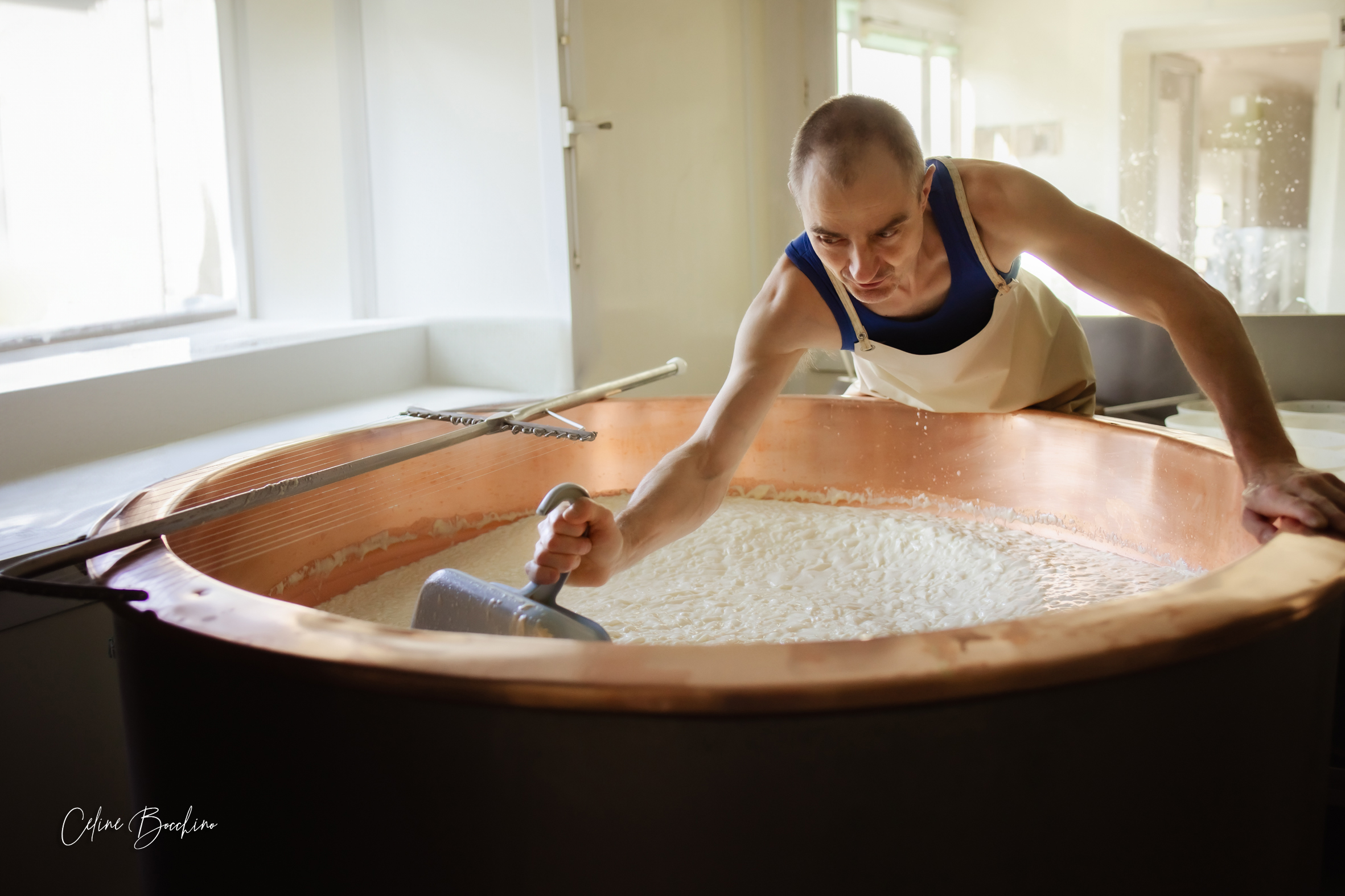 Fromagerie GAEC Normand