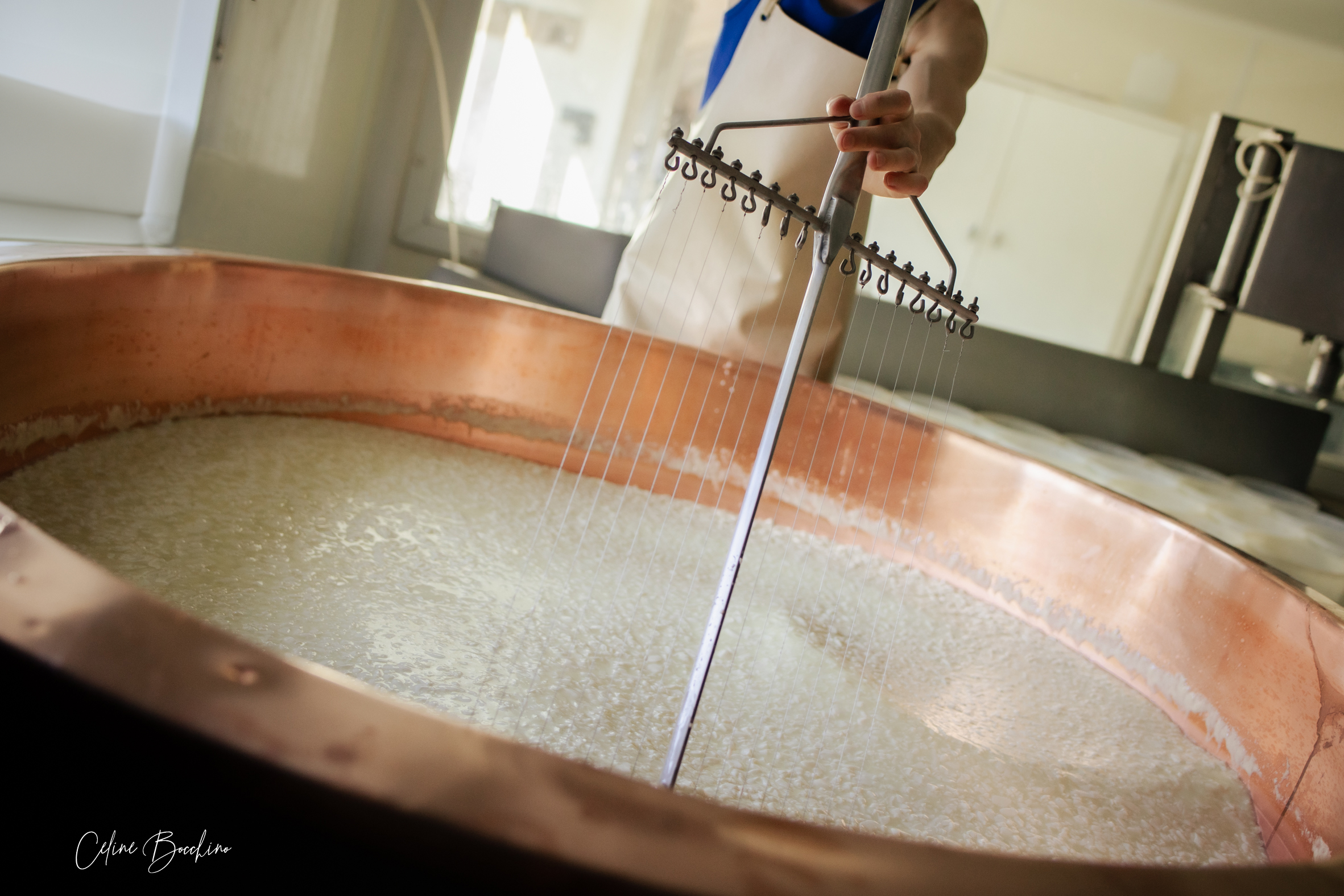 Fromagerie GAEC Normand