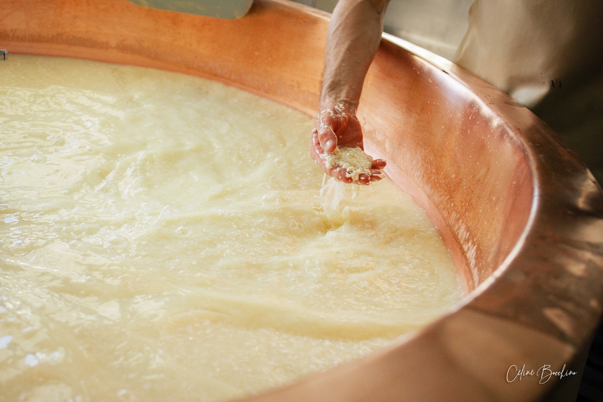 Fromagerie GAEC Normand