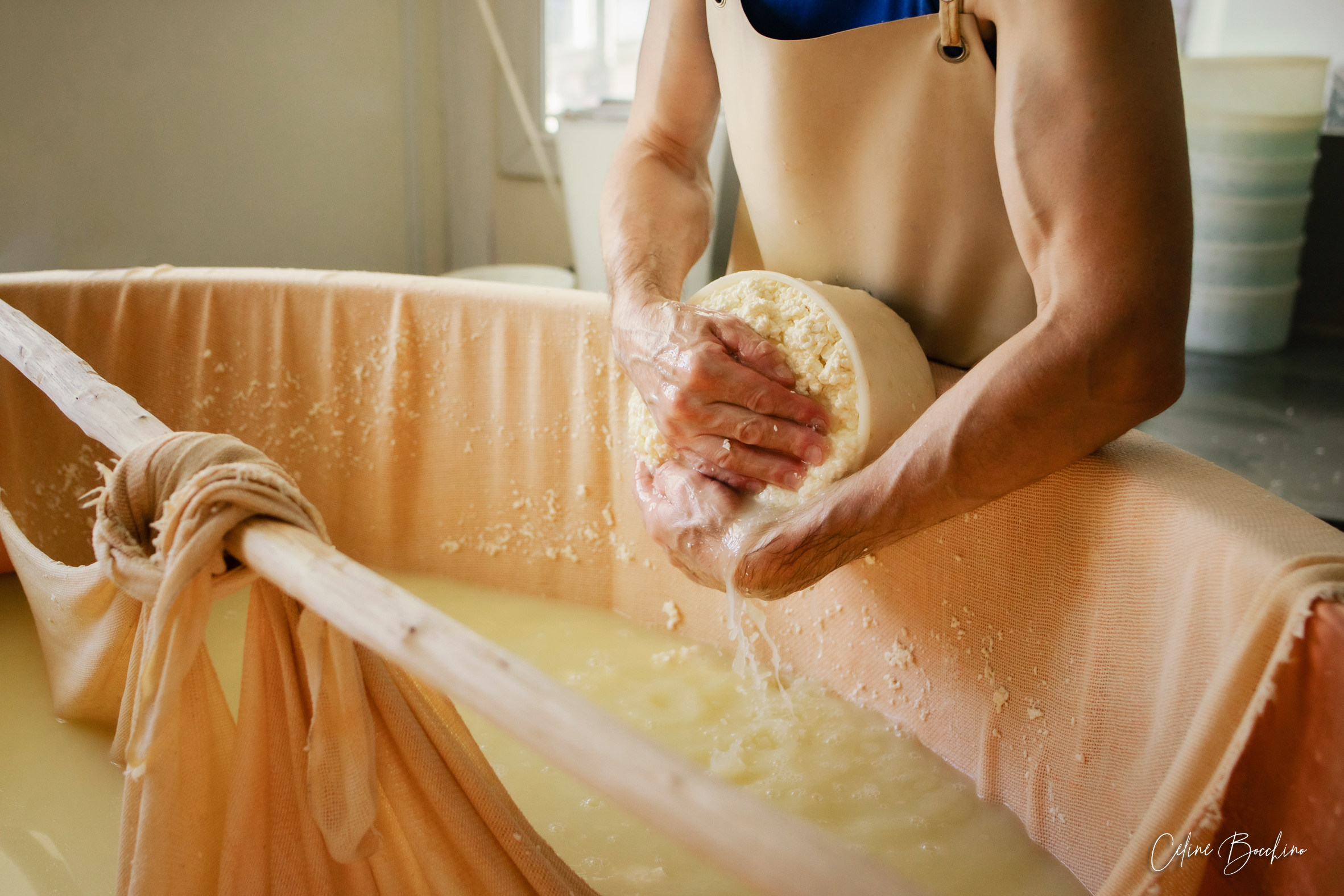 Fromages du GAEC Normand