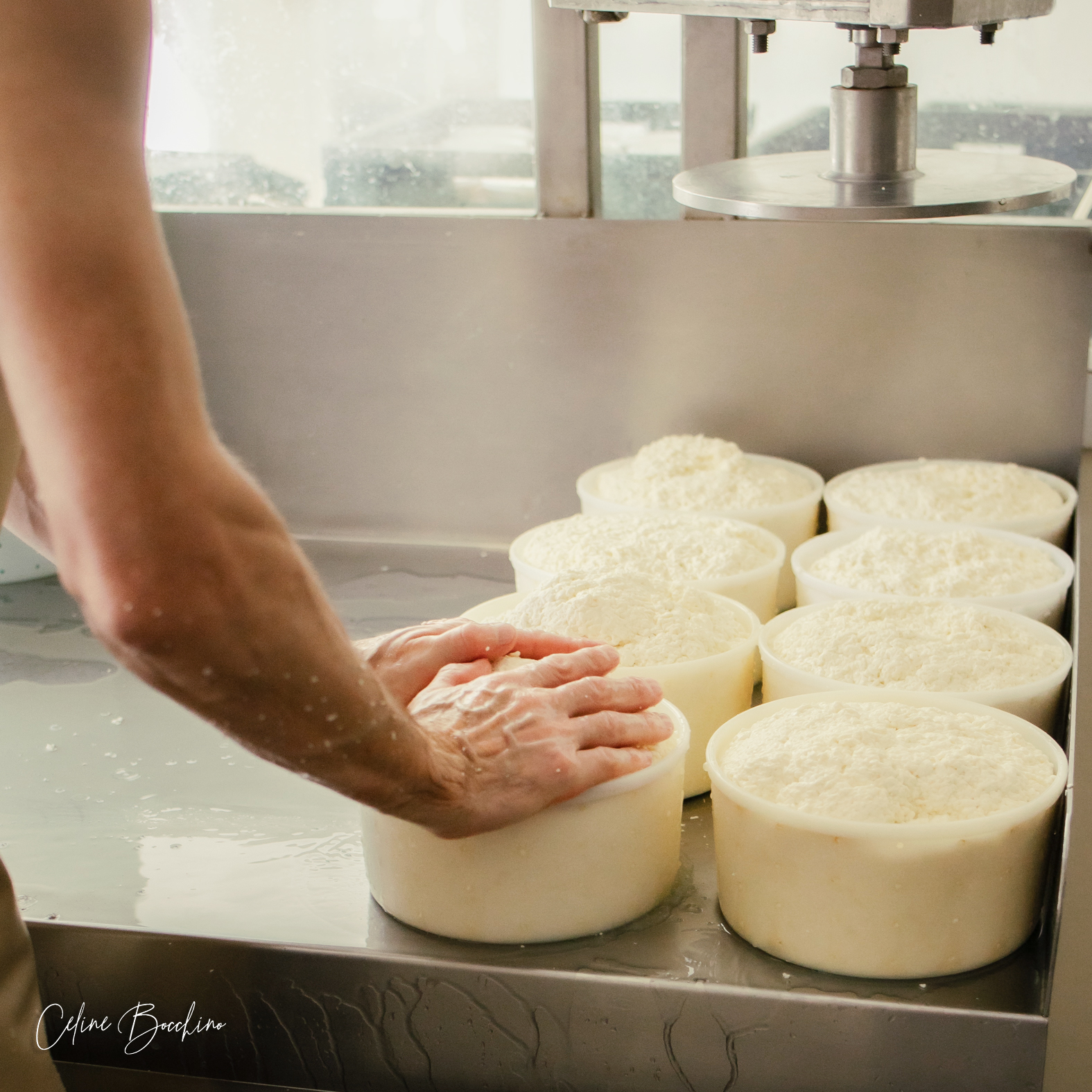 Fromagerie GAEC Normand