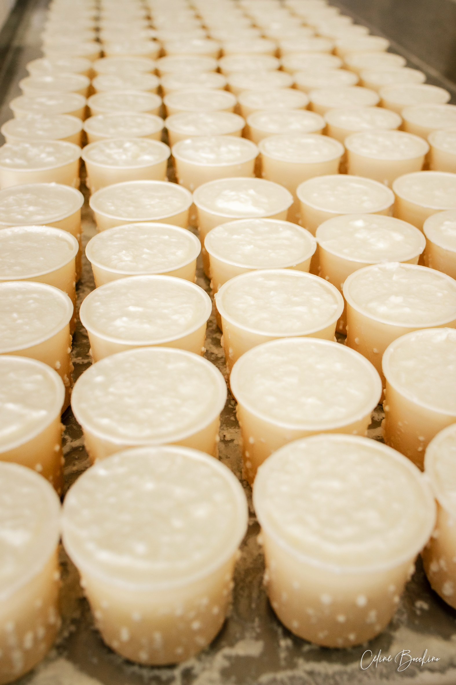 Fromagerie GAEC Normand