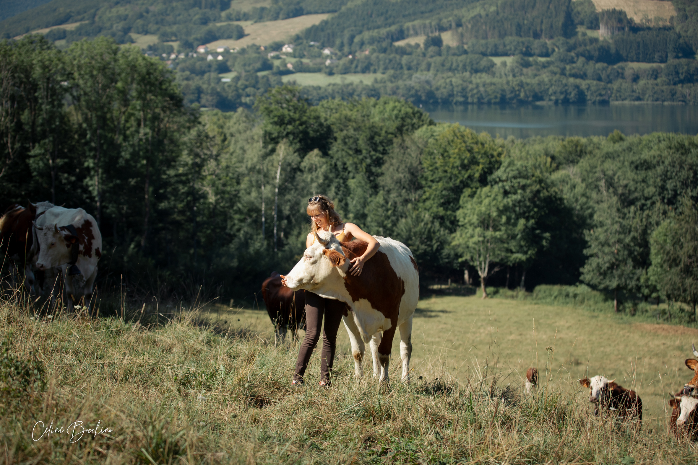 Troupeau GAEC Normand